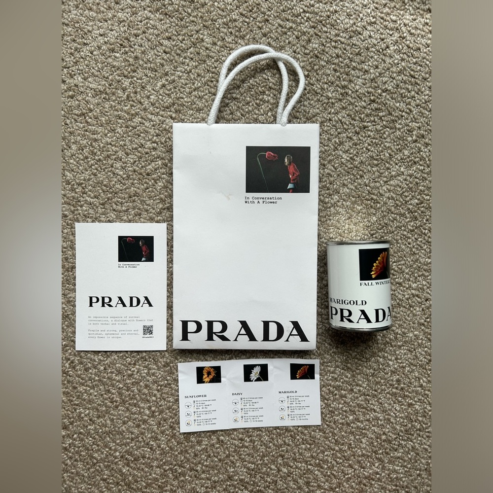 Prada Marigold Flower Seeds (FW 2023)